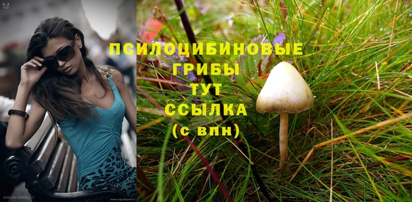тгк Арсеньев